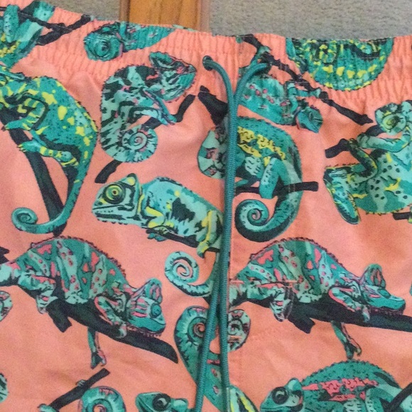 Swim trunks size 2 or 3X - Picture 2 of 6